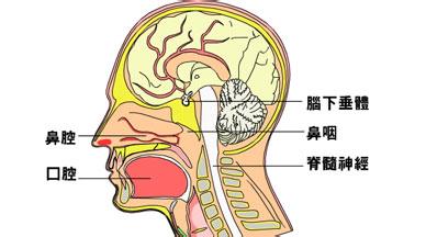 鼻咽癌晚期出现的恐怖症状