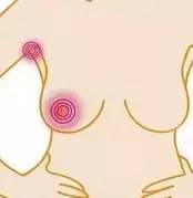 石家庄肿瘤医院教你预防乳腺癌