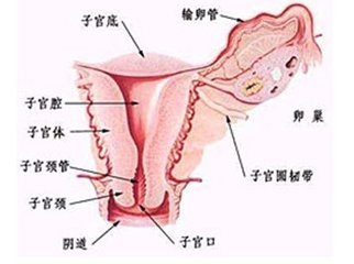 张家口市癌症医院专家谈久坐与子宫癌