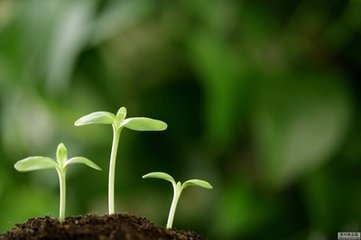 了解这些膀胱癌发病因素