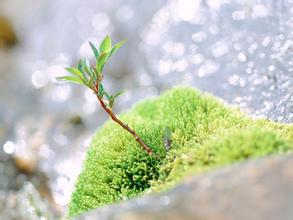 邯郸市癌症医院专家对脑瘤治疗方法比较
