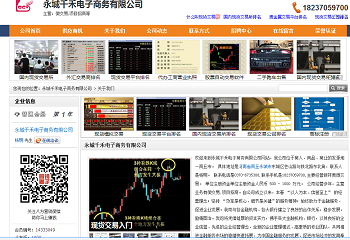 永城千禾电子商务有限公司简介(二)